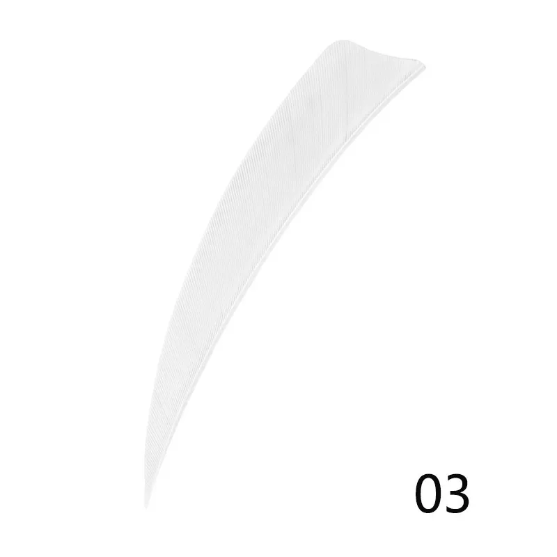 303557_no-logo_303557-2-03-g