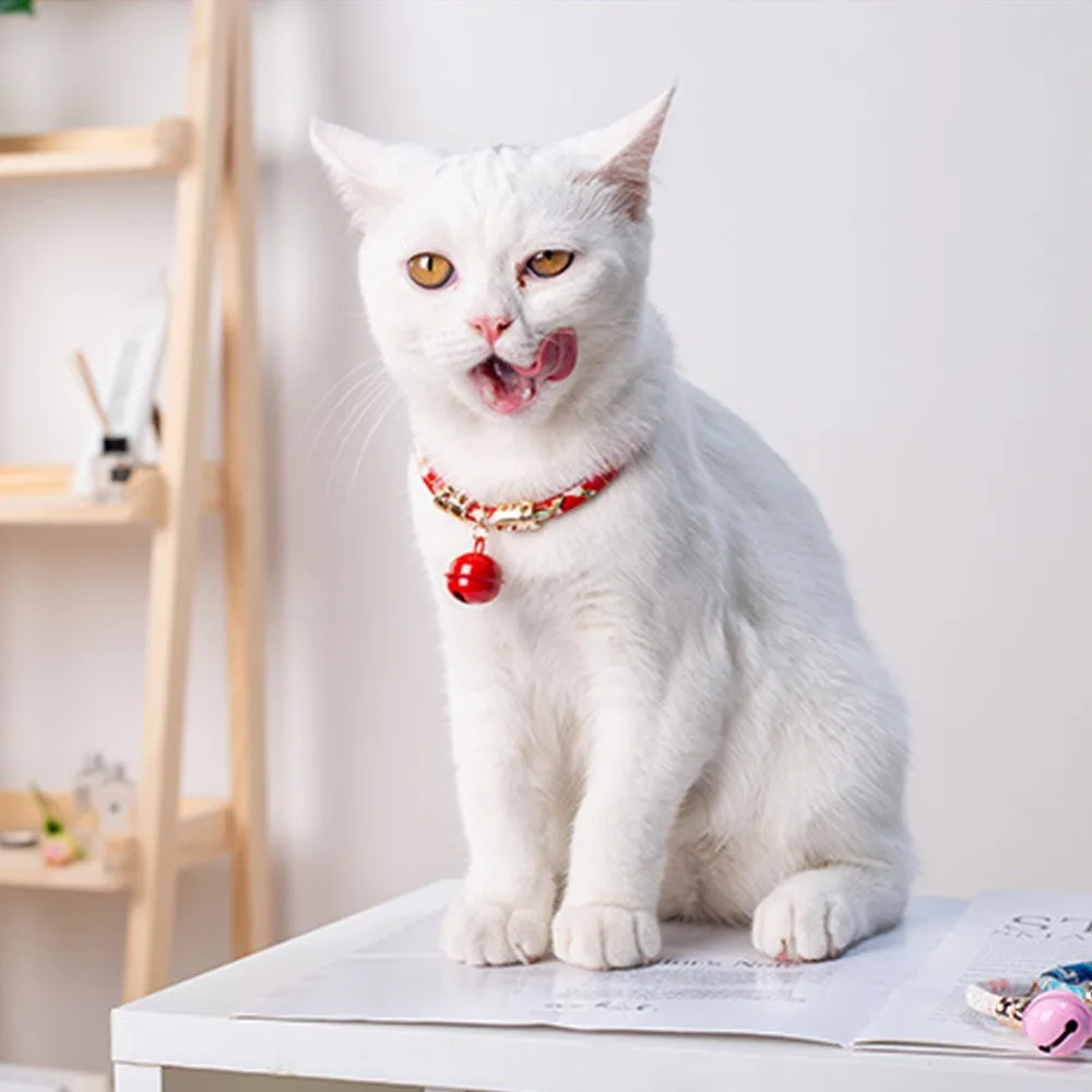 308669_no-logo_308669-1-05-p