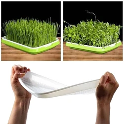 Planting Sprout Seedling Tray Seed Sprouter Tray Double-layer Soilless Culture Beans Hydroponic Nursery Tray Garden Supplies Planting Sprout Seedling Tray Seed Sprouter Tray Double-layer Soilless Culture Beans Hydroponic Nursery Tray Garden Supplies