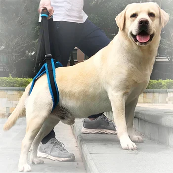 

Adjustable Dog Lift Harness For Back Legs Pet Support Sling Help Weak Legs Stand Up Pet Dogs Leash Aid Assist Reliable Good Tool
