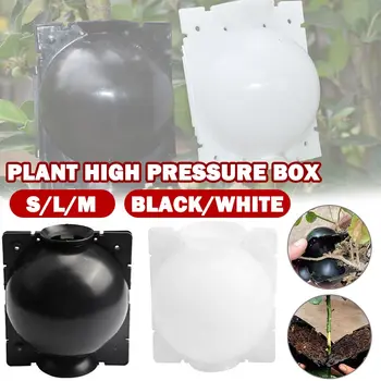 

Plant Rooting Grow Box Plant Root Propagation Ball Container Grafting Box to Root Outdoor Garden