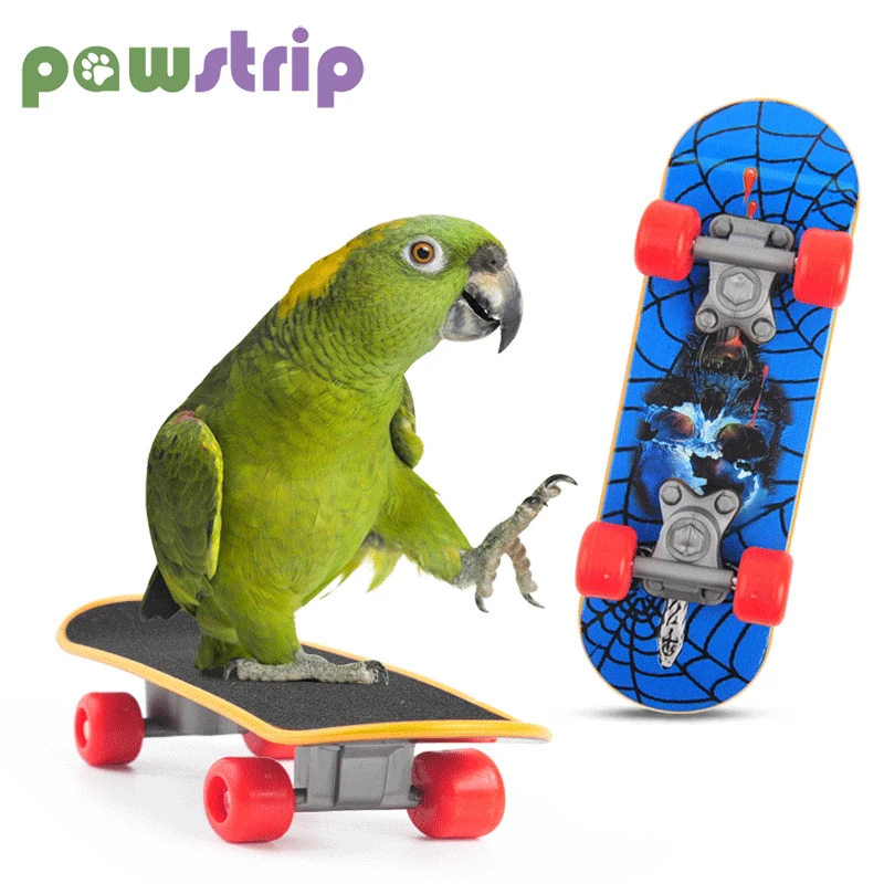 

Mini Parrot Skateboard Toys Birds Parrot Intelligence Toys Interactive Traning Bird Toy for Budgies Parakeet Small Pet Supplies