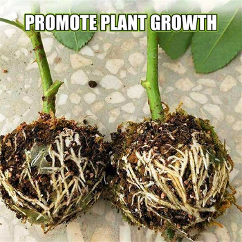 

Rooting Grafting box Breeding Indoor Controller Propagation Rooting Device
