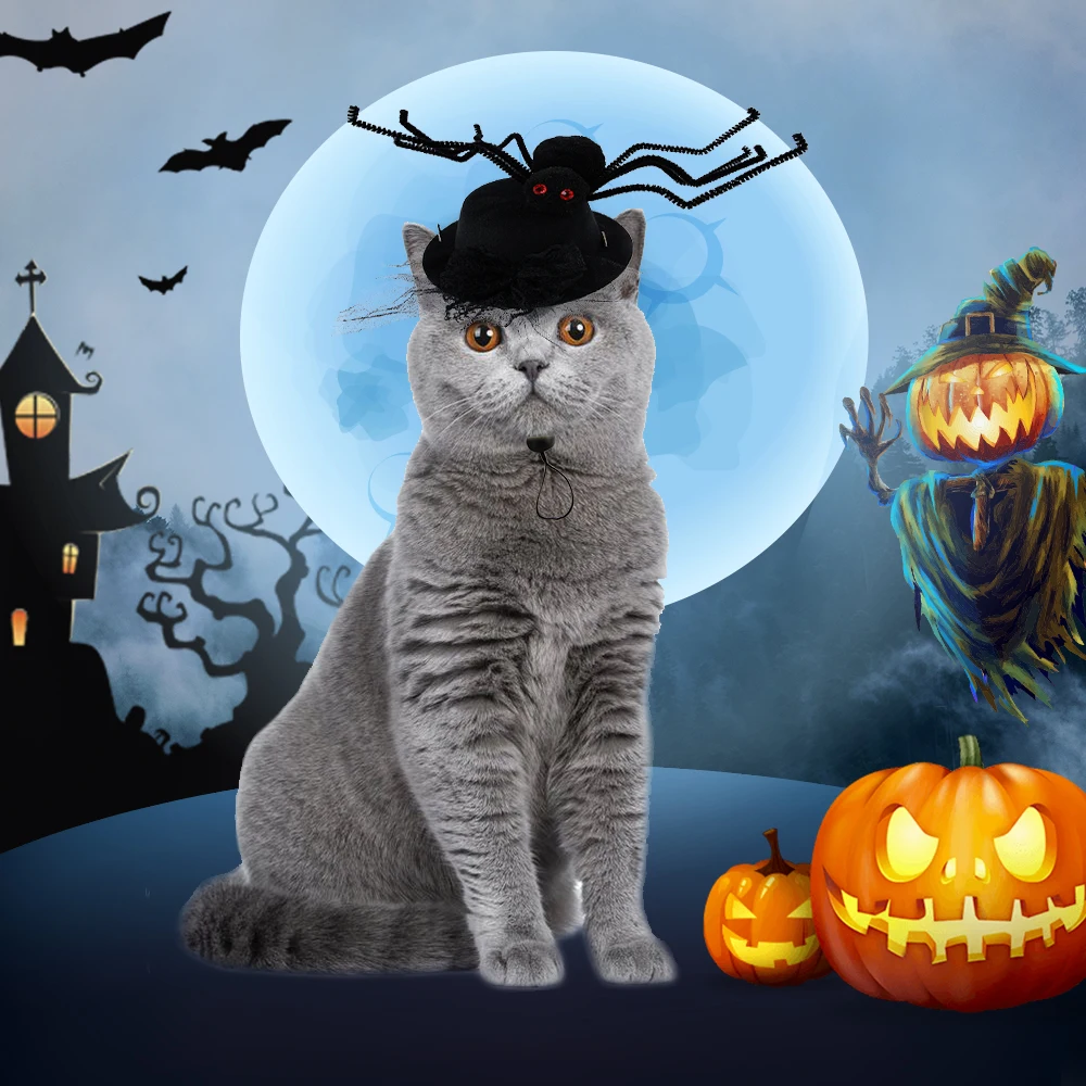 Хеллоуин кошка шапки для собак Регулируемая кошка шапка на Хэллоуин креативный питомец ведьма Шляпа кошка костюм аксессуары