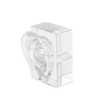 

Clear Acrylic Ear Model Display Demo Ear for Hearing Aids In-ear Headphones Demonstration
