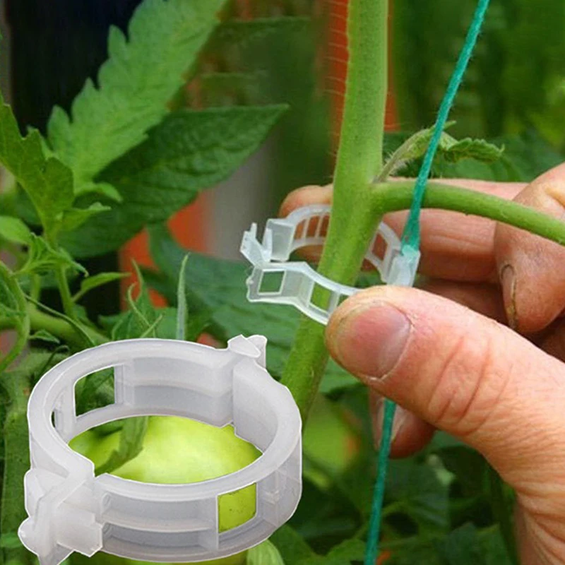 50pcs Plant Support Clips Garden Backyard Farming Vines Vegetable Quick Release Closure Fastener Trellis Twine Supporter