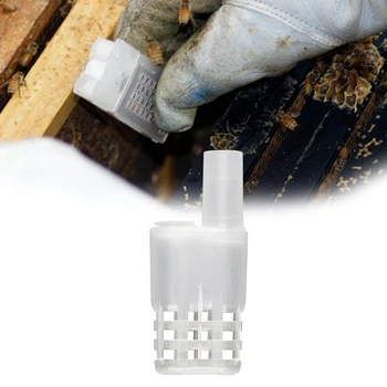 

Bee Queen Cages Protective Plastic White Move Bees Beekeeping Product For Beekeeper Suppiler Goods Tools For Beekeeper Supplies