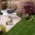 Cat Repellent Outdoor Garden Cat Dog Plastic Nail Cat Scat Mat Anti-cat Sting Cat Pad Plastic Nails Outdoor Garden Supplies