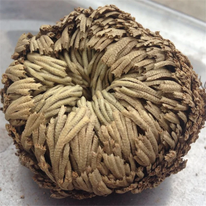 QQ截图20200508205008