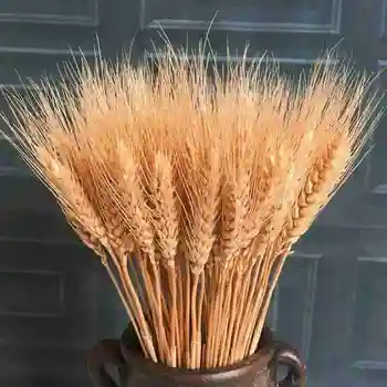 

25 PCS Natural Wheat Stalks Wheat Dried Flowers Bouquet Plant Decor Christmas Home Office Wedding Decoration Flores