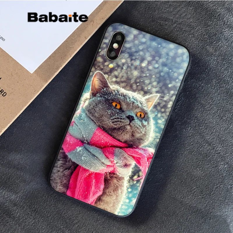 Babaite Британский короткошерстный Кот в продаже окрашенный мягкий чехол для телефона Apple iPhone 8 7 6S Plus X XS MAX 5 5S SE XR