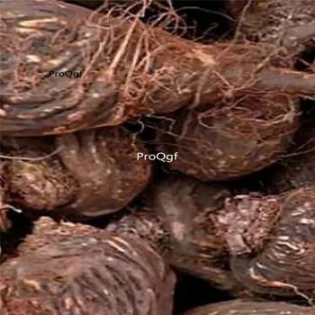 

Ngryise 5Pcs A Set Peru Maca Lepidium Meyenii Walp Root