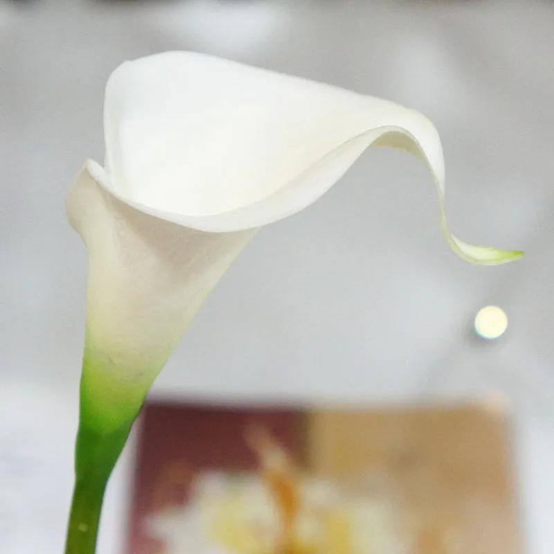 9pcs-White-Calla-Lilies-For-Wedding-Bouquet-Real-Touch-Calla-Lily-Flowers-Latex-Calla-Wedding-Centerpieces (2)