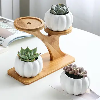 

Modern Ceramic Plant Pot Bamboo Saucers Stand Holder for Home Office Decoration