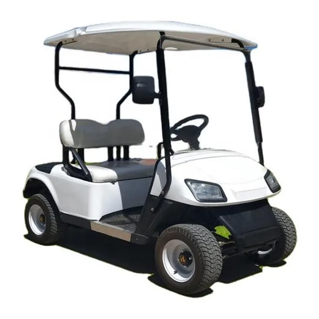 2-Person Electric Golf Cart 6