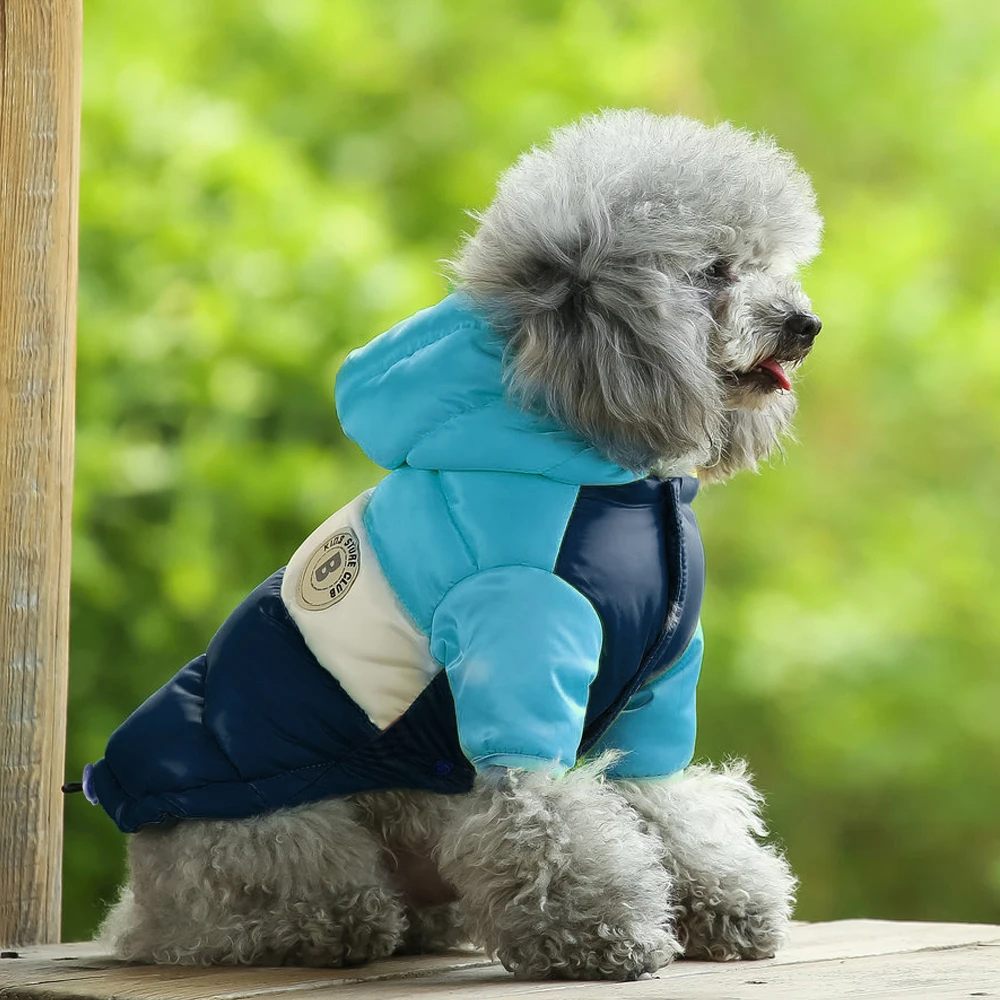 Зимняя одежда для собак, одежда для домашних животных пуховик щенком, куртка с принтом для Fench для бульдога Чихуахуа Pet толстовка с капюшоном для маленьких собак для собак породы Йоркширский терьер