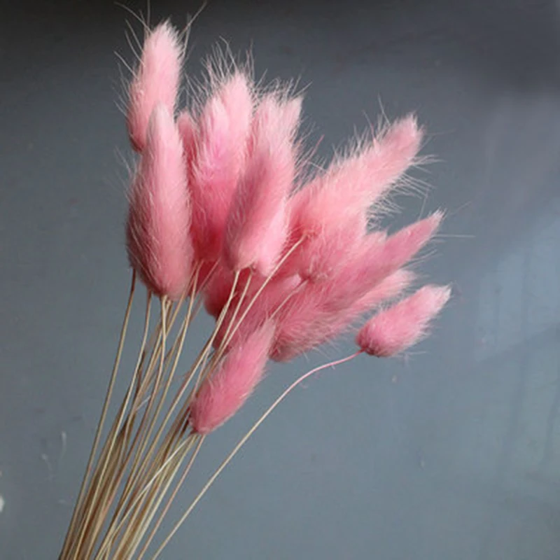 C0811 (1)