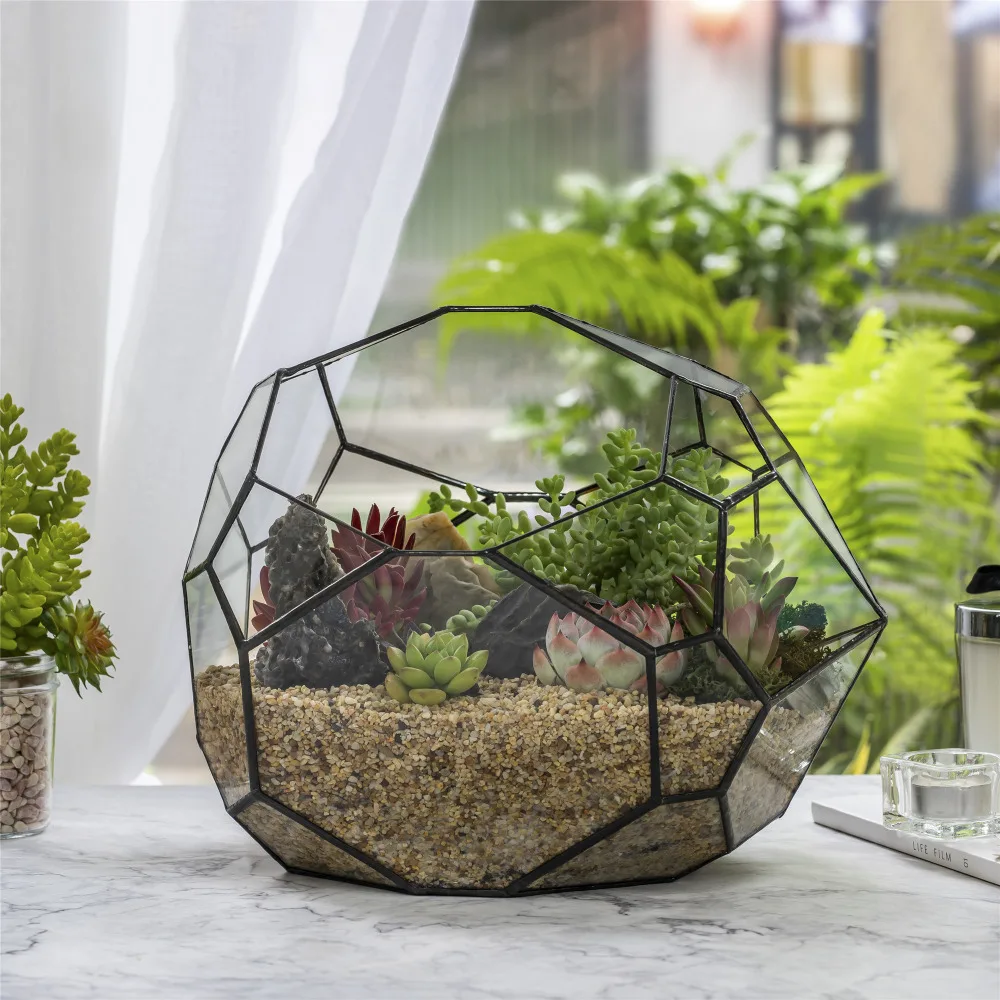 geometrico triangolare mezza sfera in vetro geometrico terrario per cactus succulente in felce muschio miniatura bonsai