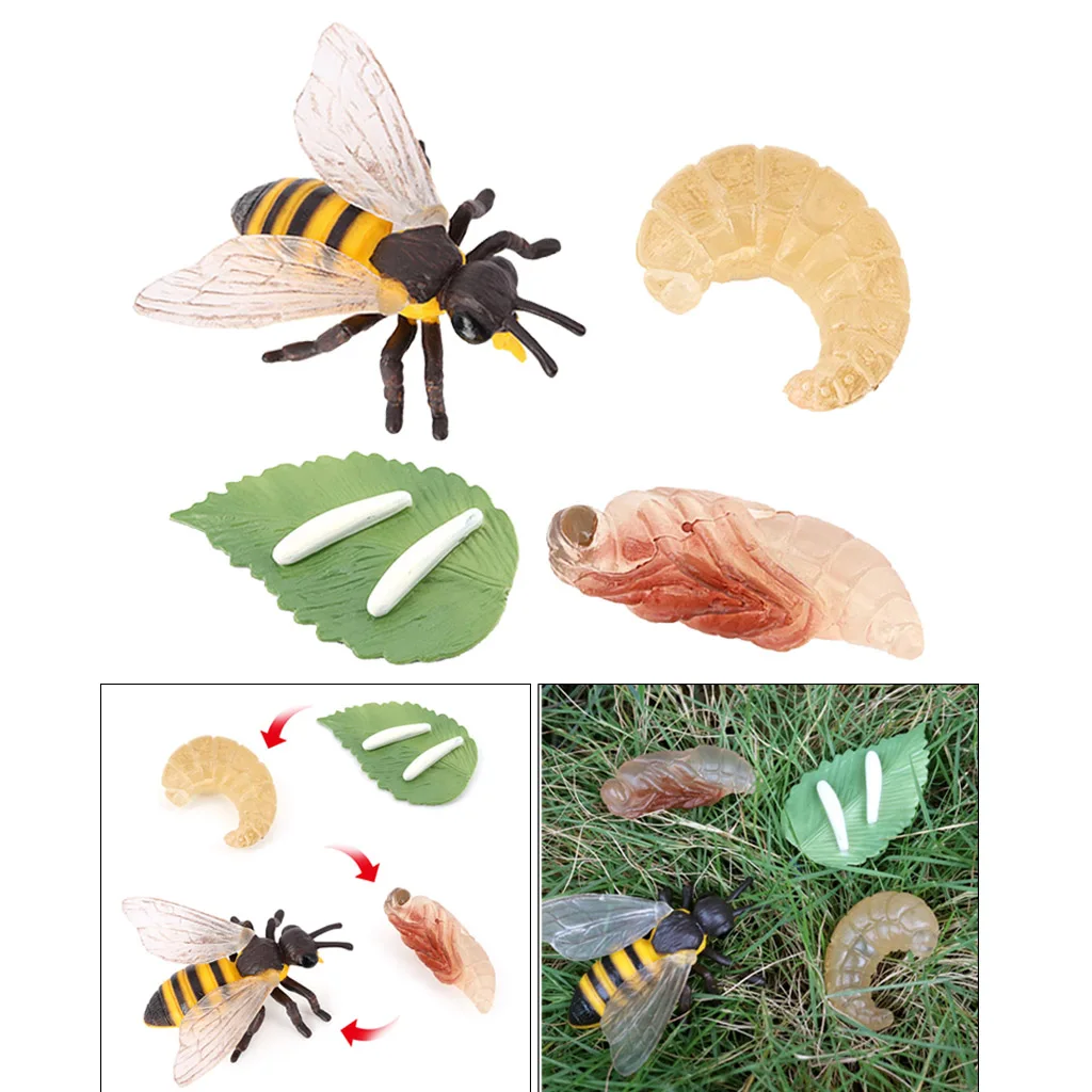 Пластиковые Детские насекомые, пчелы, жизненный цикл, образование 