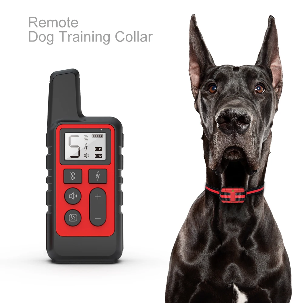 1 red dog collar