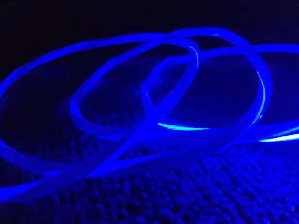 12385838281_1047714518