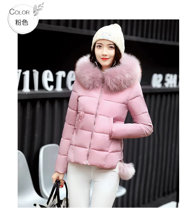 8996900256_1006637240