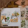 Journamm 40pcs Natural Fern Plant Stickers Journaling Stationery Transparent PET Material Flowers Leaves Plants Deco Stickers ► Photo 2/6