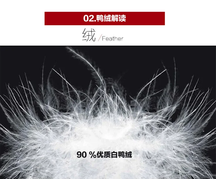 17006-750宽度切片_05.jpg