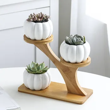 

3 Tier Modern Decoration Wear Resistant Mini Desk Office With Drainage Indoor Bamboo Stand Set Planter Pumpkin Succulent Pots