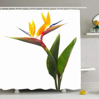 

Shower Curtain Set with Hooks 72x72 Spring Bird Paradise Flowers Bouquet Close Hawaiian Isolated On Flora White Foliage Nature