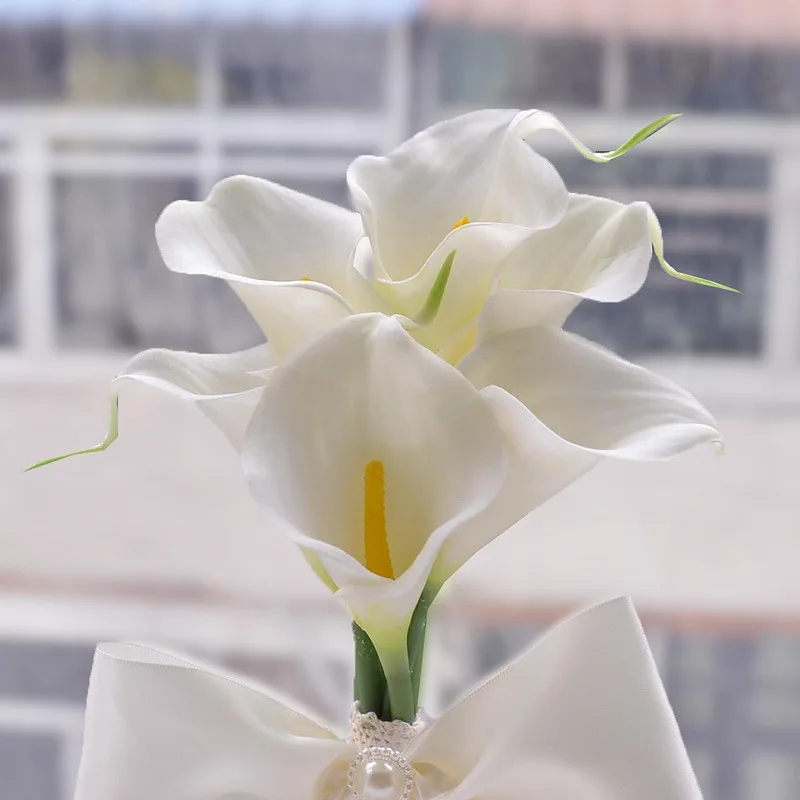 4362214371_109987642