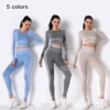 Hot Selling Sports Tight Running Breathable Knitting Seamless Yoga Suit Long Sleeve Fitness Suit