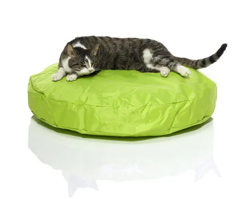 Кошка beanbag кровати, непромокаемый бобовый мешок pet bean bag lounge