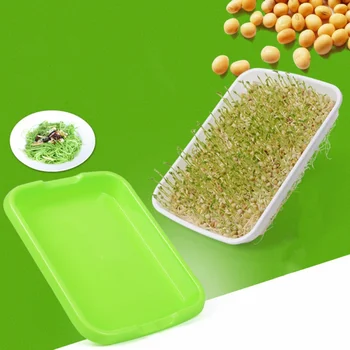

Seed Sprouter Tray with Cover BPA Free PP Soil-Free Seedling Tray Sprout Plate Hydroponic Big Capacity Healthy Wheatgrass Grower