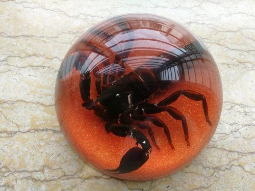 Искусственный Янтарный чучело насекомое образец паук сороконожка Скорпион летучая мышь креативный подарок домашний стол - Цвет: 7-2