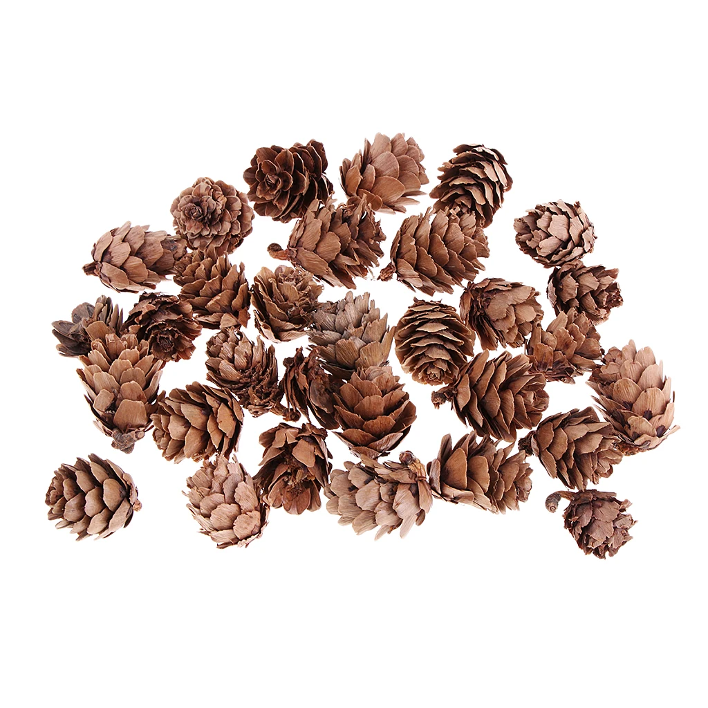30pcs Real Natural Small Pine ConesBulk Sale for Accents Decors Ornament