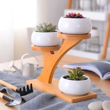 

3-Tier Bamboo Shelf Modern Succulent Plants Pots Garden Decor Bonsai Planters Free of Plants