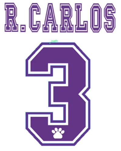 1996 Ретро#8 MIJATOVIC#7 RAUL#3 R. CARLOS Nameset печать тепловой печати футбольная нашивка значок - Цвет: 3 R.CARLOS