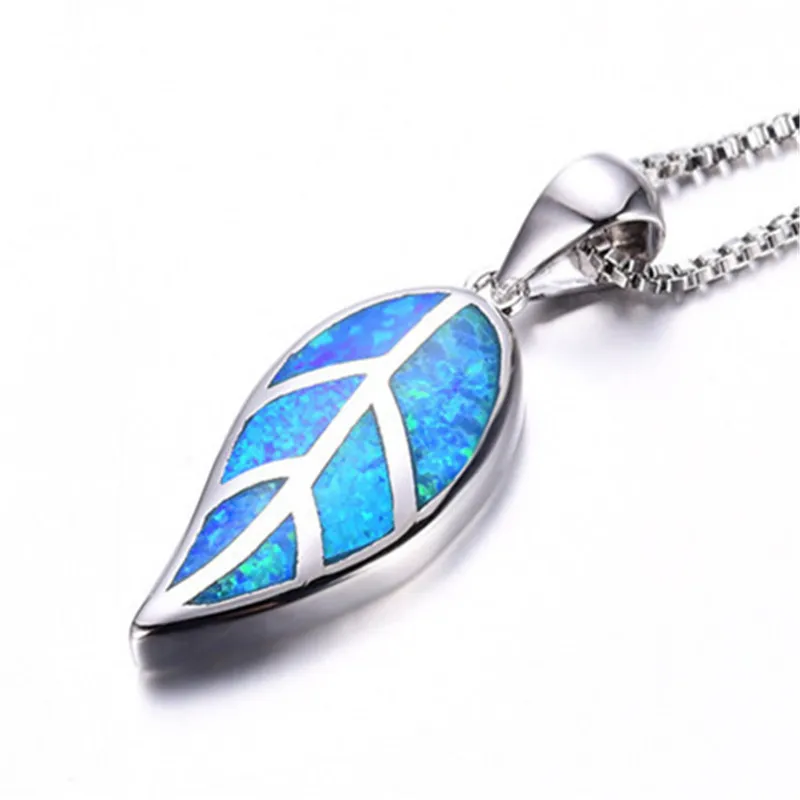 9085592622_1629594552