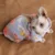 Sphinx Cat Clothes Steefan Clothes Devin Cat Clothes 100% Хлопок Мягкий Свитер