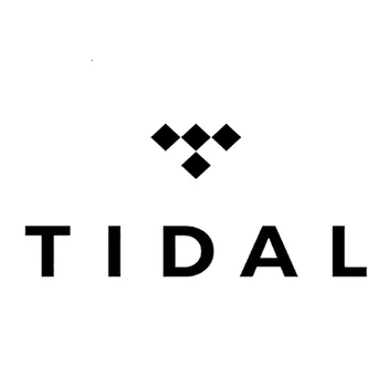 

1year Time TIDAL HIFI High-end Non-destructive Music Official Master No Advertising Offline Listening Music Player