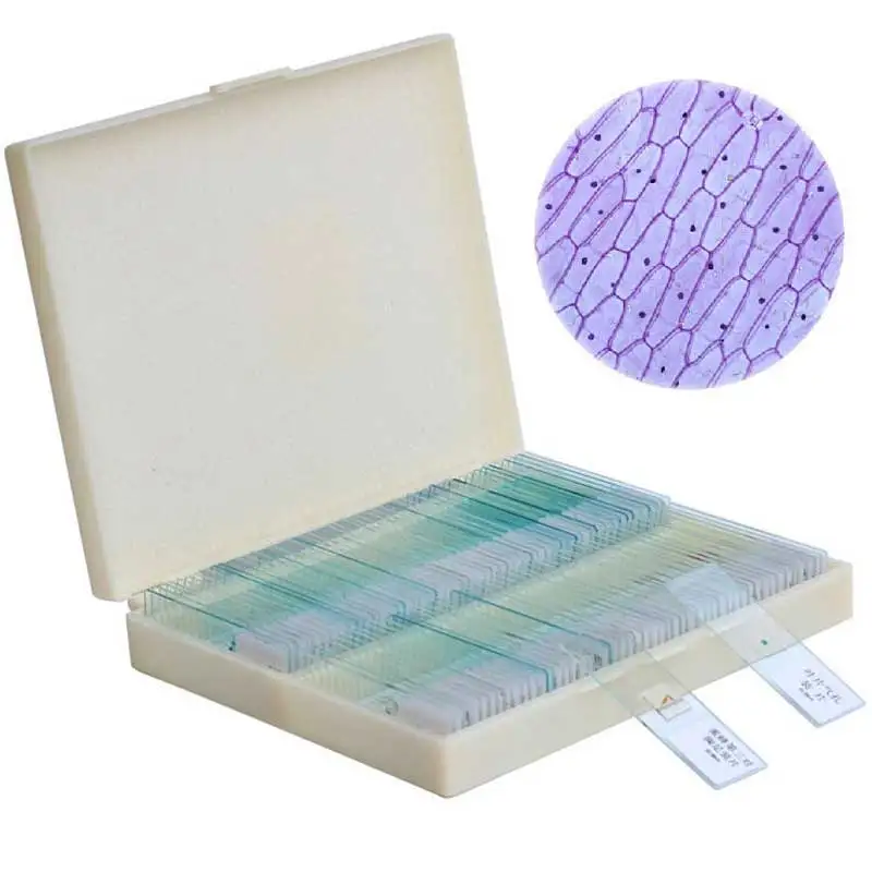 Miglior 100PCS Professionale Fetta di Vetro Vetrino da Microscopio Preparati Presentazioni aziende produttrici giochi Educativi Campione Del Tessuto Umani Tratti con la Scatola di Plastica
