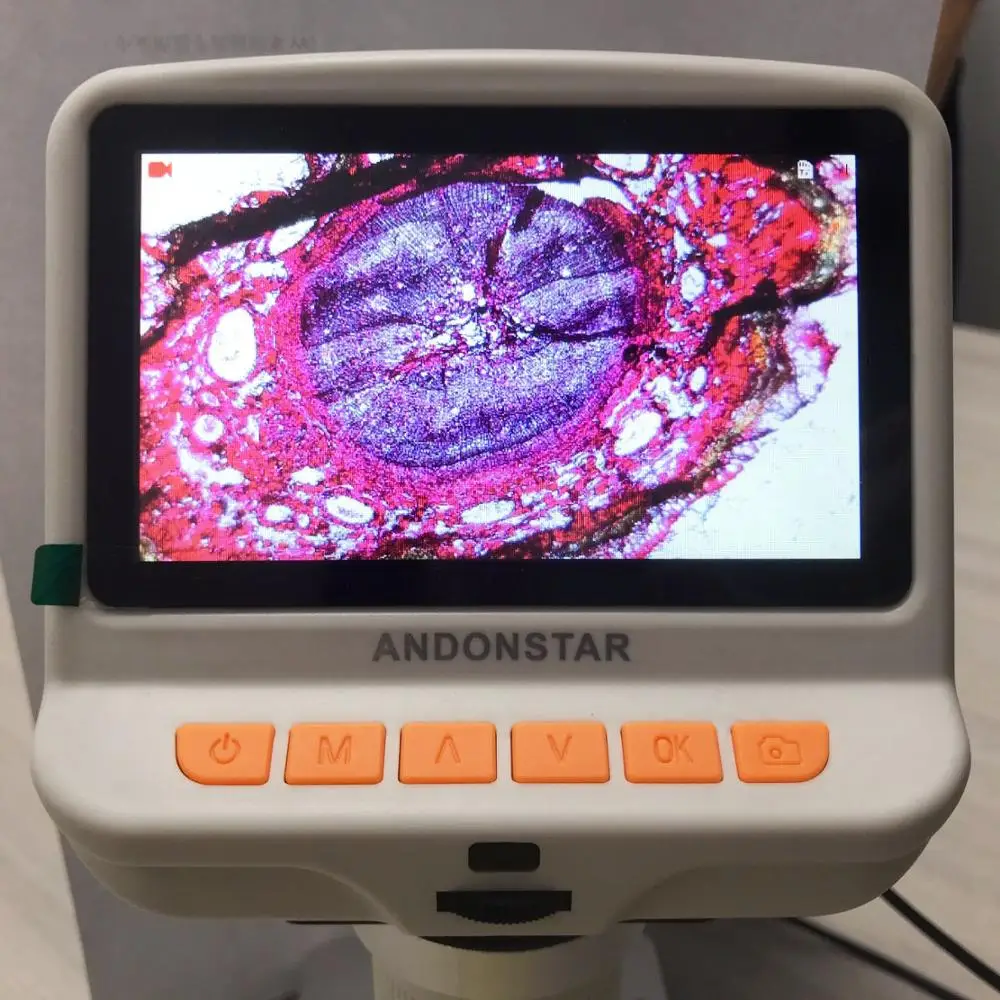 Andonstar-Microscope numérique USB ADSpringS pour enfants, écran intégré,  diapositives, cadeau d'observation, cellules botArabes, 4.3 - AliExpress
