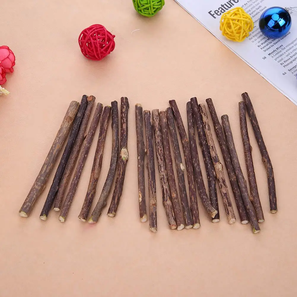 10/15/20pcs Cat Teeth Sticks Fruit Matatabi Cat Snacks Sticks Catnip Pet Cat Molar Toothpaste Rod Kitten Cleaning Teeth Tool