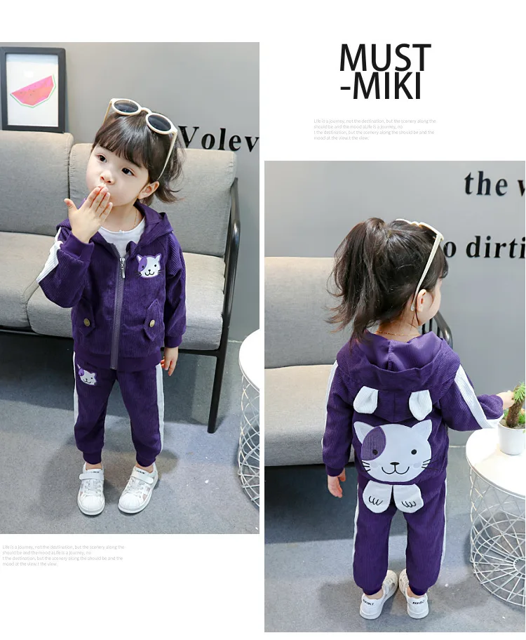 purple Комплект весенне-осенней одежды для девочек, новая модная повседневная одежда для детей, хлопковые толстовки для девочек+ штаны, спортивный костюм из 2 предметов - Цвет: purple