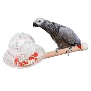 

Legendog 1pc Creative Bird Feeder With Training Ball Bird Foraging Toy Parrot Hanging Toy With Perch Pet Feeding Supplies