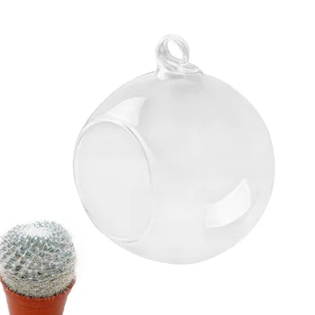 

6 Pcs 100mm Clear Ball Shaped Hanging Glass Vases Flat Base Design Ball Shape Flower Plants Terrarium Vase Containers Landscape