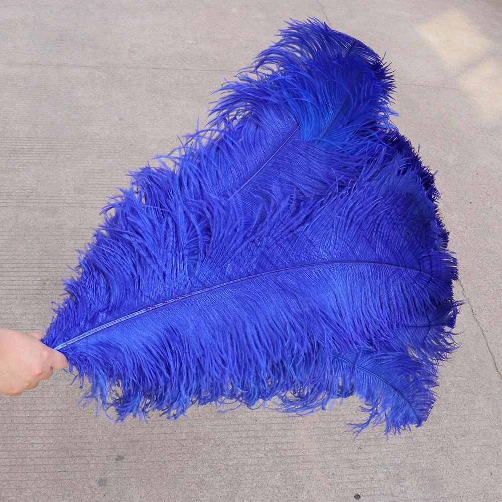 TS0165008 65-70cm ostrich feathers 2