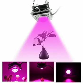 

60W COB LED Grow Light Full Spectrum Plant Phytolamp LED Lamp for Plants Aquarium Flowers Hydroponics Vegs
