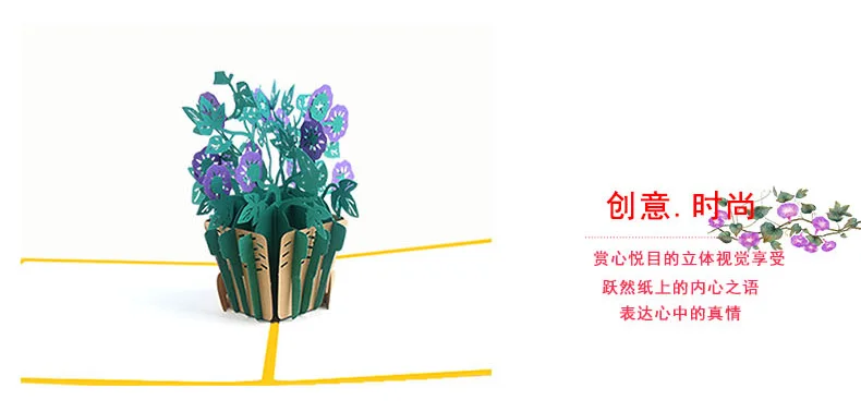 天猫牵牛花详情图_05